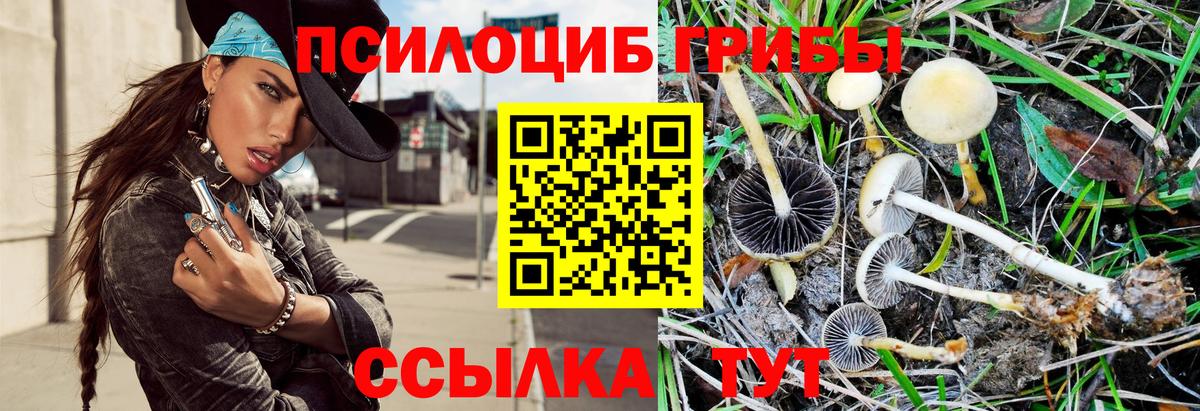 Галлюциногенные грибы мицелий Усть-Джегута